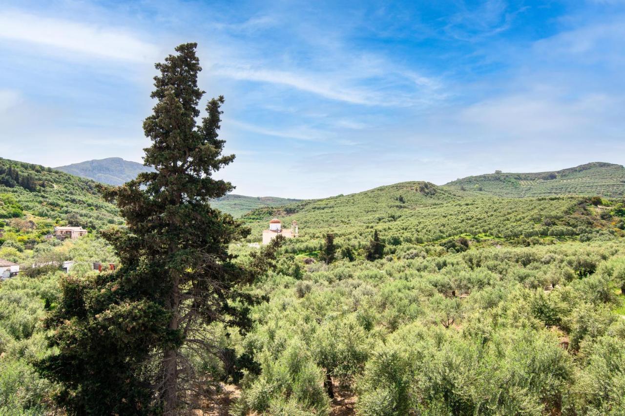 Achilleas Deluxe Αpartment -Pet Friendly-Parking-Mountain View Villa Kotsiana Bagian luar foto