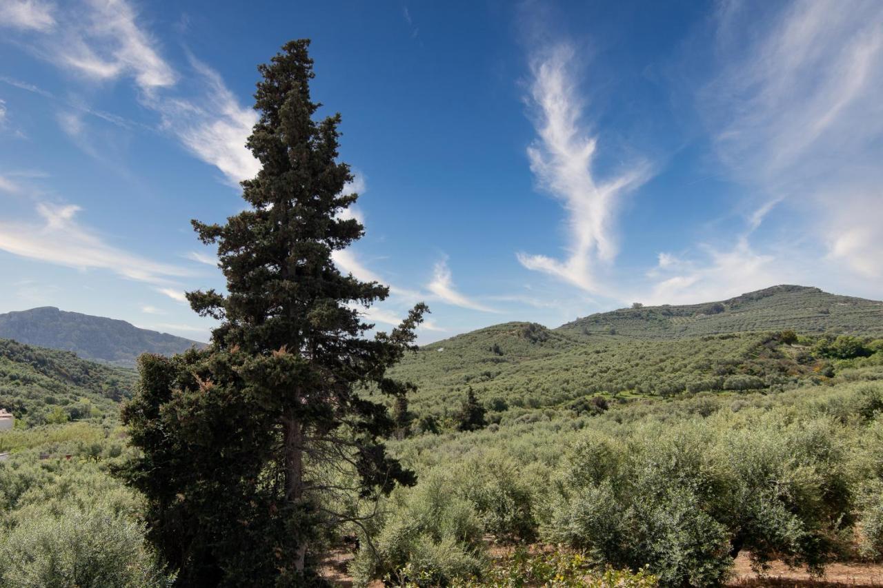 Achilleas Deluxe Αpartment -Pet Friendly-Parking-Mountain View Villa Kotsiana Bagian luar foto