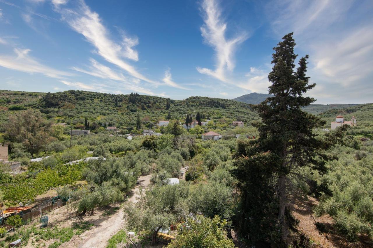 Achilleas Deluxe Αpartment -Pet Friendly-Parking-Mountain View Villa Kotsiana Bagian luar foto
