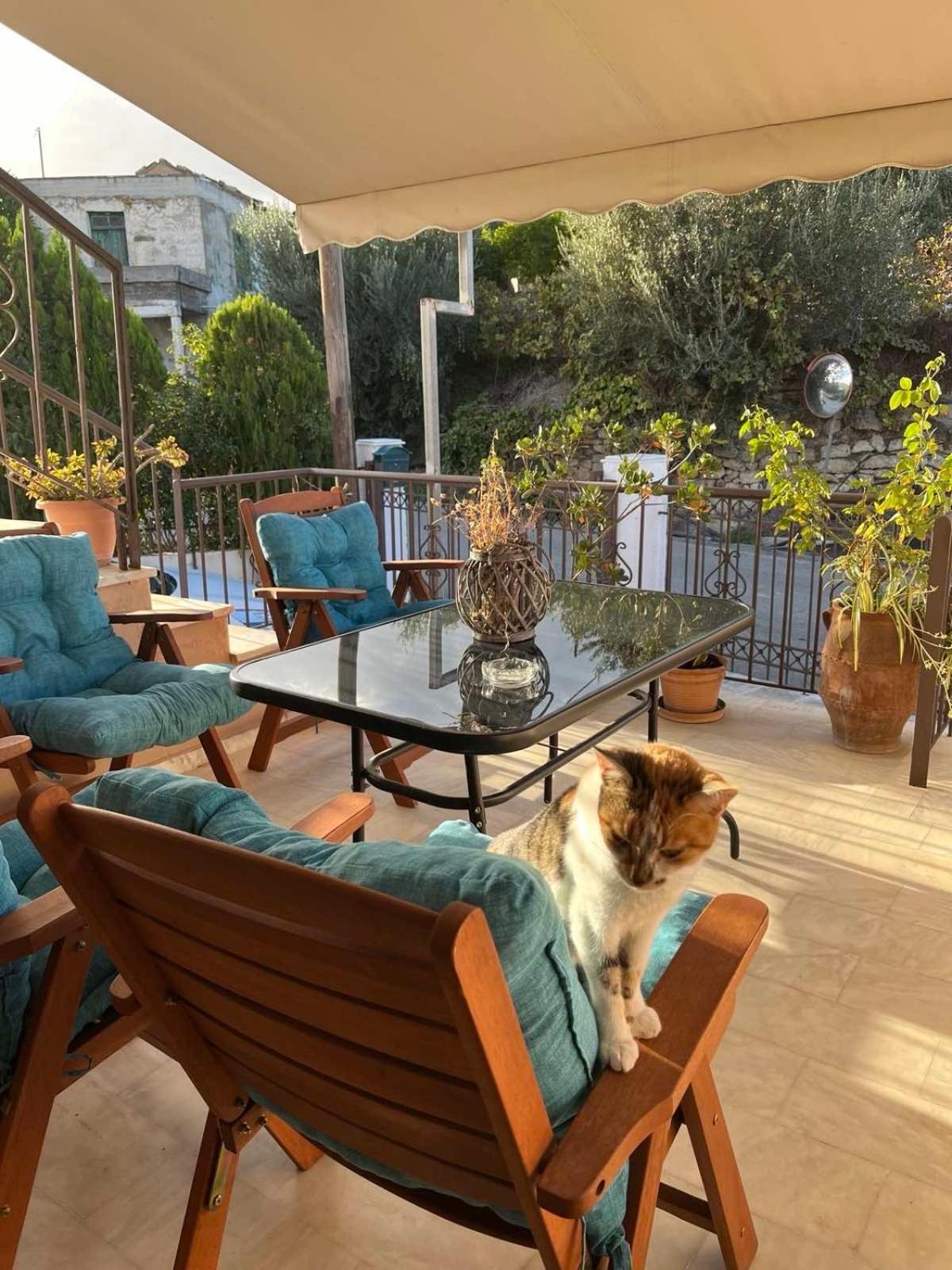 Achilleas Deluxe Αpartment -Pet Friendly-Parking-Mountain View Villa Kotsiana Bagian luar foto