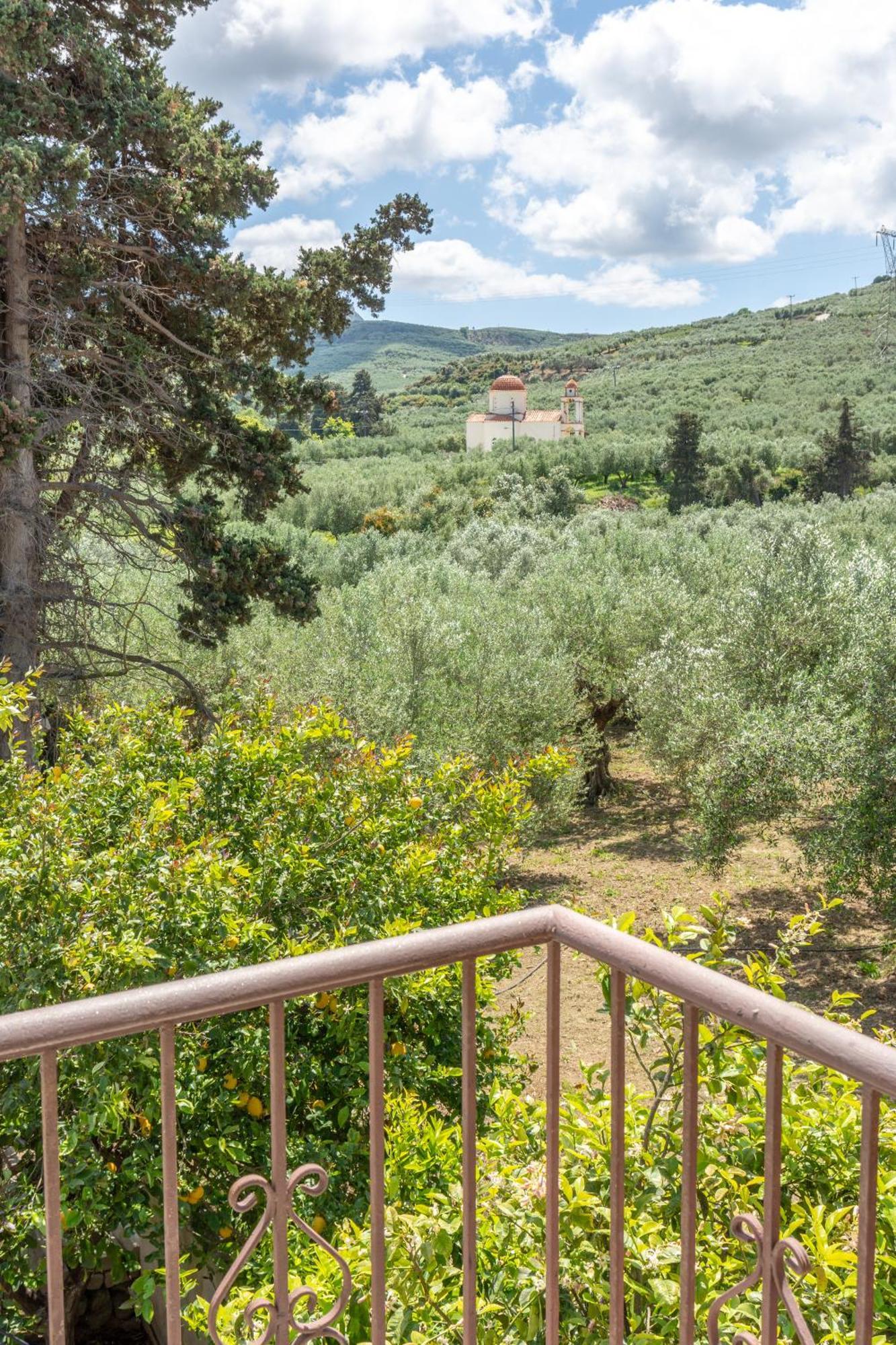 Achilleas Deluxe Αpartment -Pet Friendly-Parking-Mountain View Villa Kotsiana Bagian luar foto